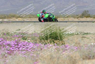 media/Feb-04-2023-SoCal Trackdays (Sat) [[8a776bf2c3]]/Turn 15 Inside Blooming (1050am)/